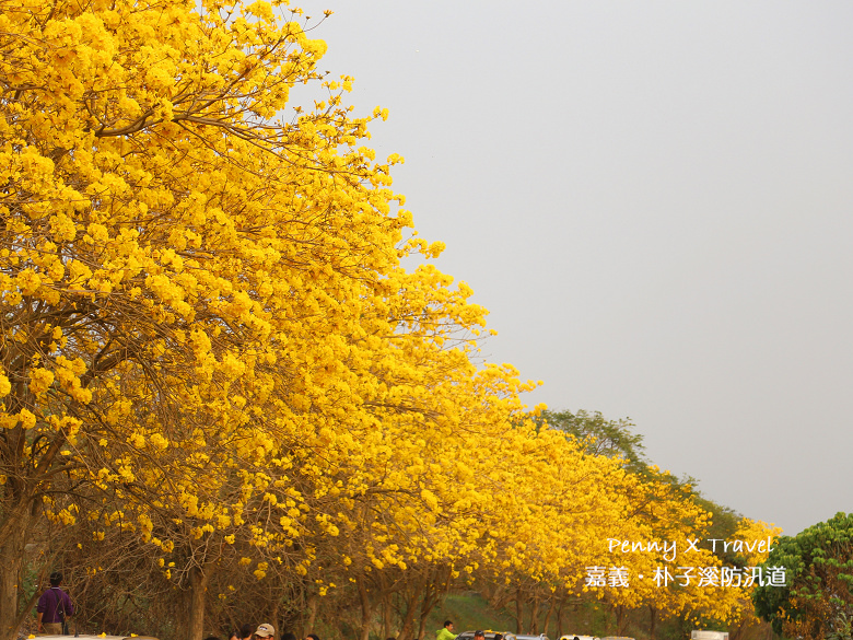 嘉義朴子溪09.jpg 嘉義朴子溪09.jpg
