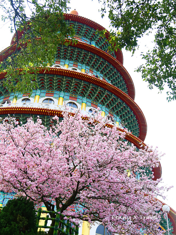 《旅遊‧台北》我聽見花開的聲音‧淡水天元宮一年一度櫻花之旅 @penny小食光輕旅行