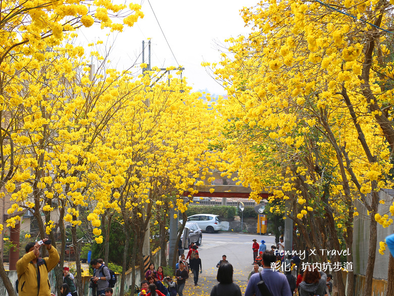 坑內坑步道03.jpg