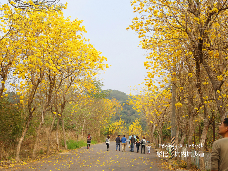 坑內坑步道04.jpg