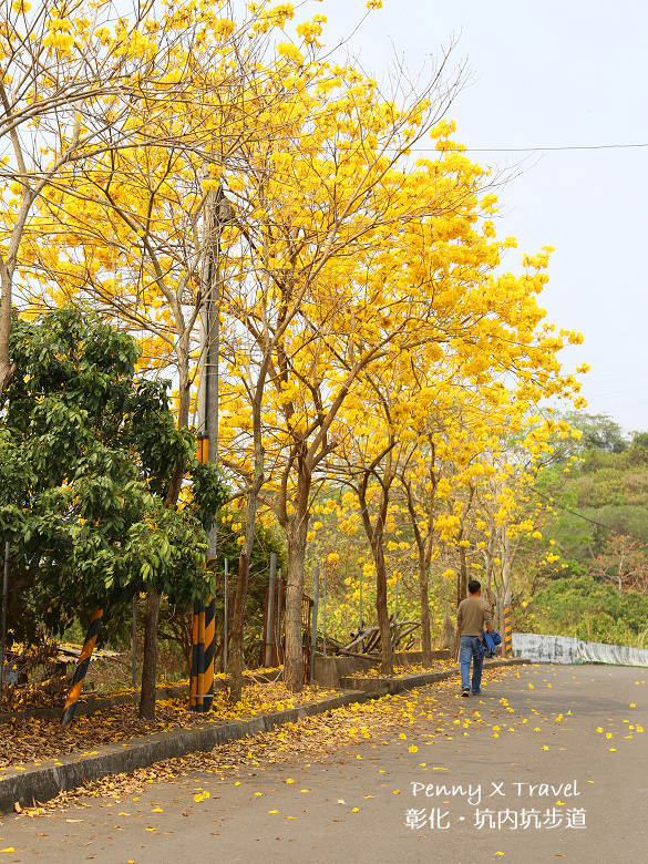 坑內坑步道17.jpg