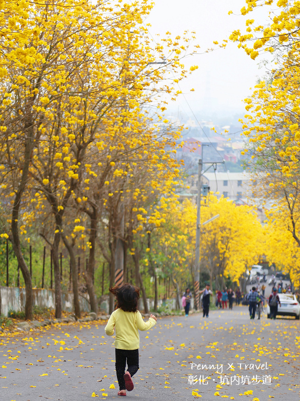 坑內坑步道24.jpg