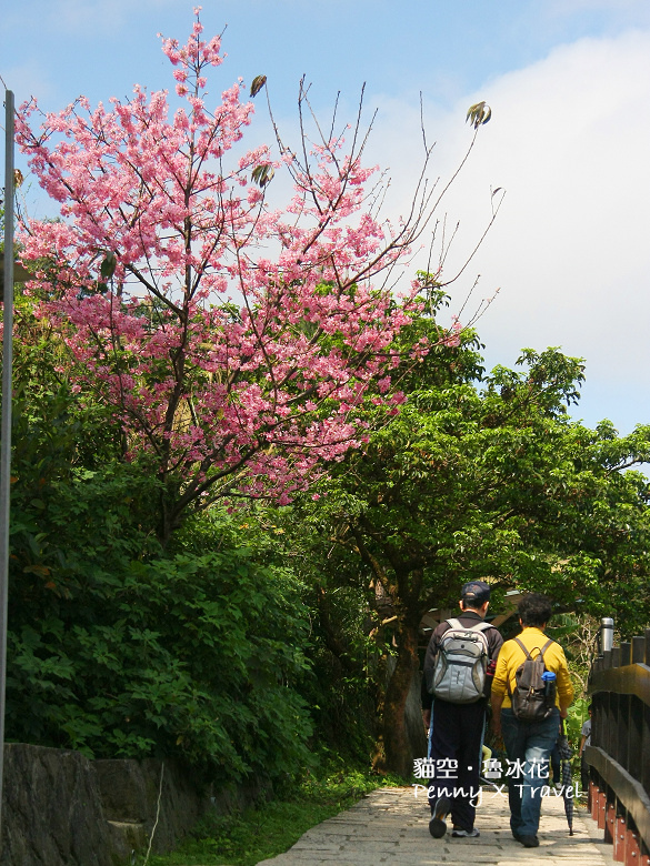 魯冰花32.jpg