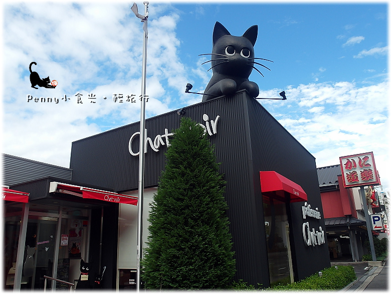 chat noir53.jpg
