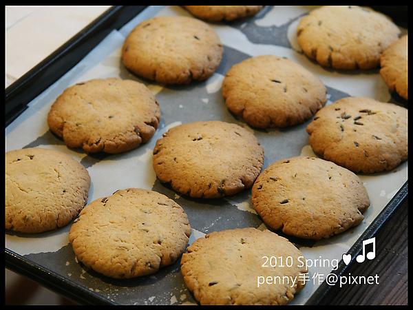 cooki06.jpg