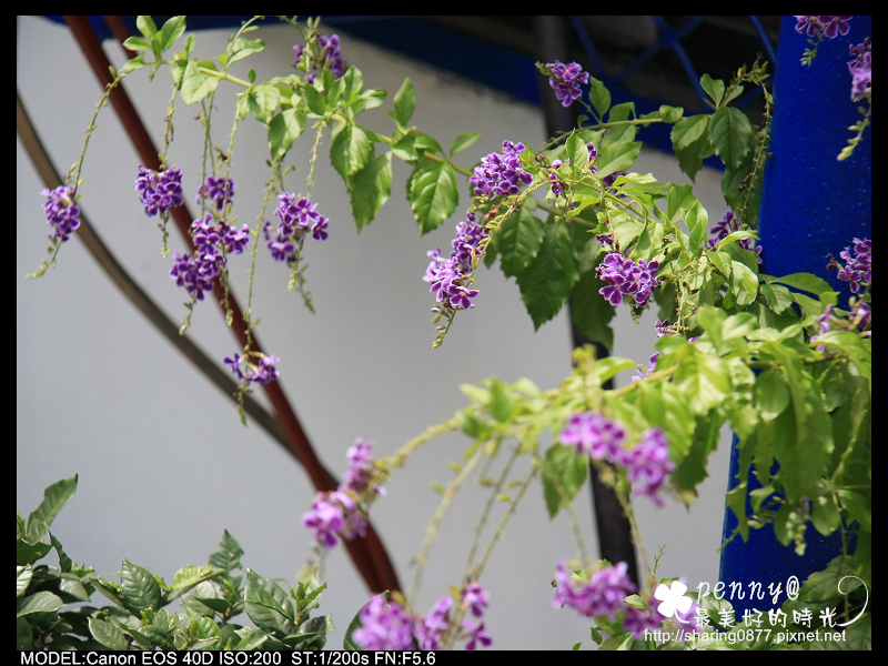 IMG_1451139.jpg