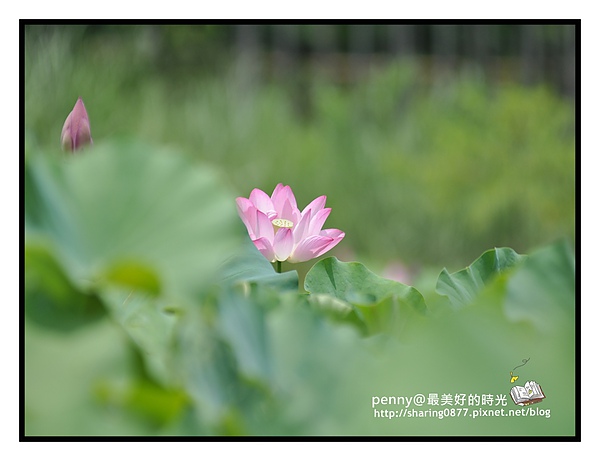 scDSC_0294.JPG